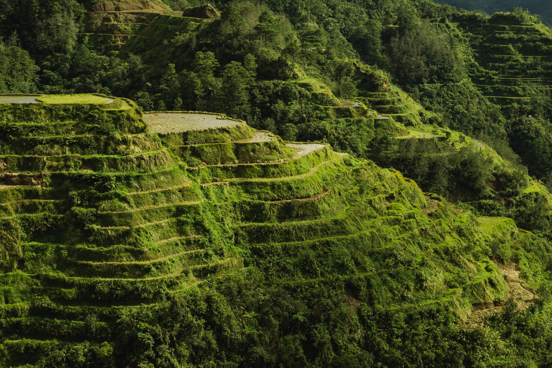 How To Buy Car In Philippines