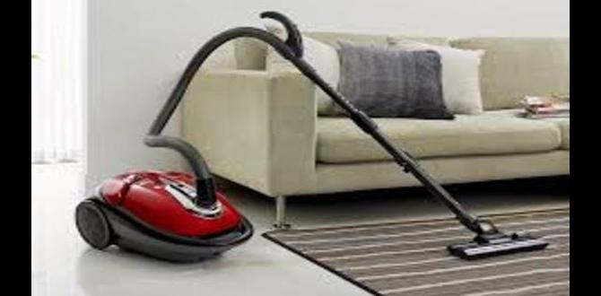 Advantages of Using a Converter in Car Vacuum Cleaner