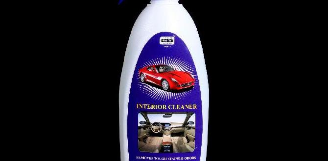 Benefits of Using Non Toxic Car Interior Cleaner