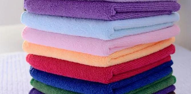 Budget Friendly Car Cleaning Towels