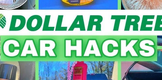 Exterior Car Cleaning Tips wit Dollar Tree Products