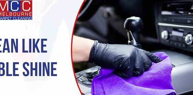 Importance of Professional Car Upolstery Cleaning