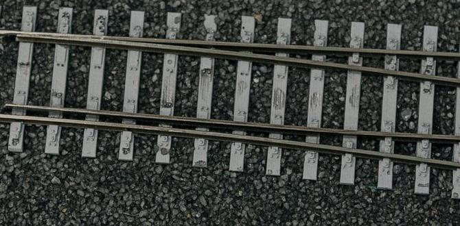 Importance of Track Cleaning in N Scale Model Railroading