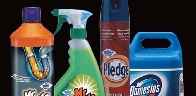 Popular Brands of Cleaning Spray for Car