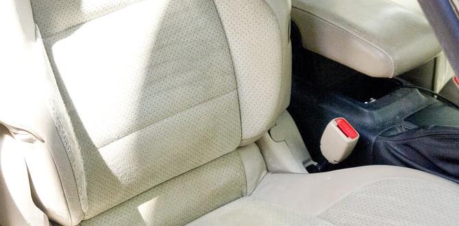 Steps to Make DIY Leater Car Seat Cleaner