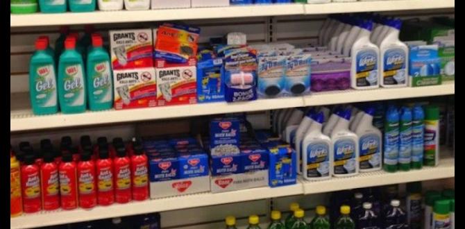 Supplies Needed for Dollar Tree Car Cleaning