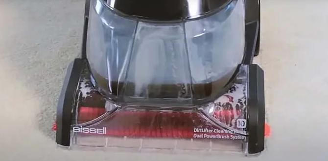 to Use te Bissell Carpet Cleaner Car